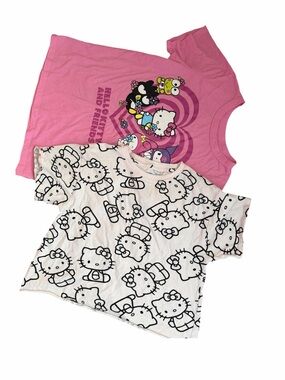 2 Tees-Hybrid Apparel Pink Hello Kitty Graphic Tee and Friends Short Sleeve Tee